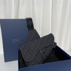 Dior Saddle Bags